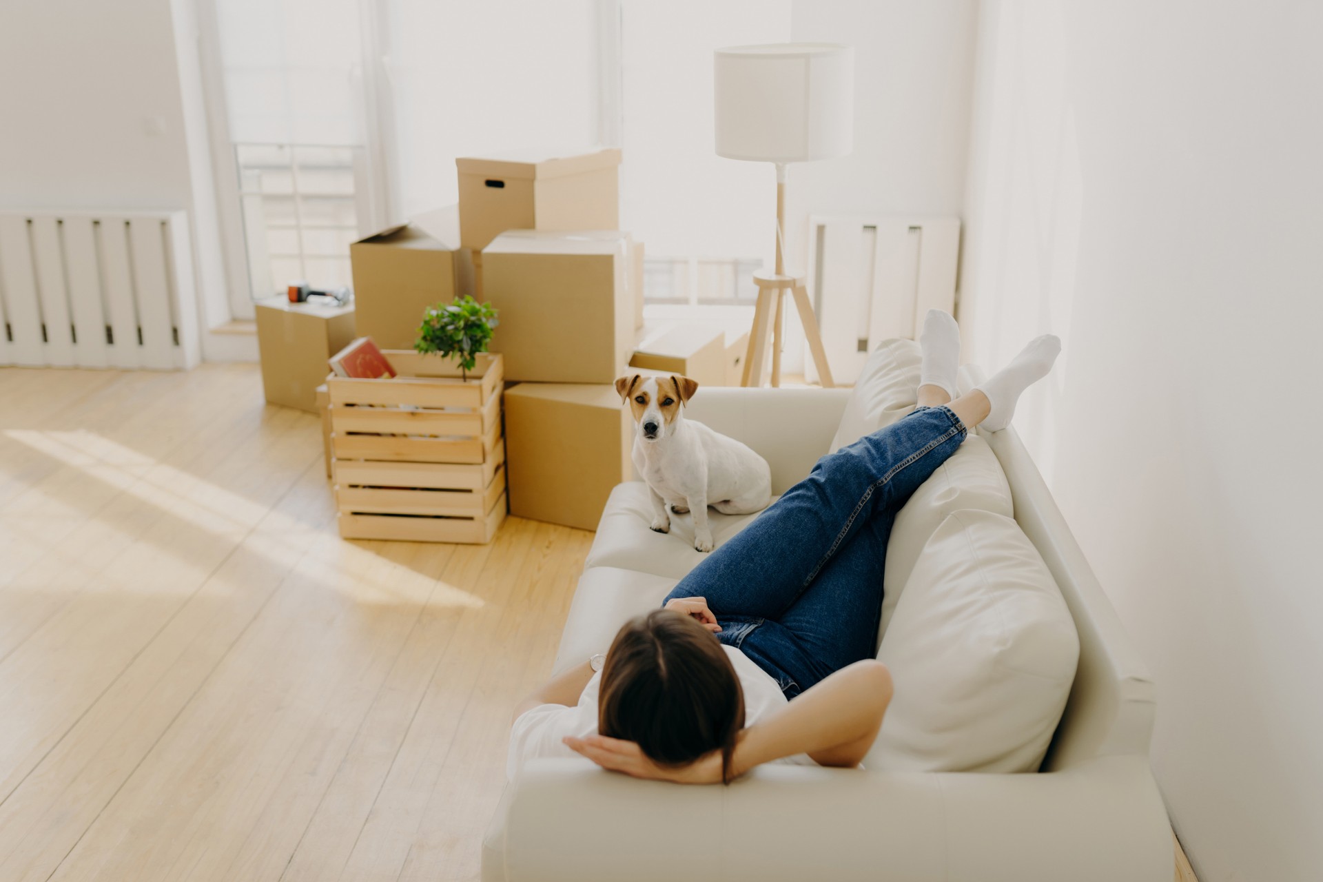 A person relaxes on a sofa with feet up, a dog companion beside, in a room with moving boxes.